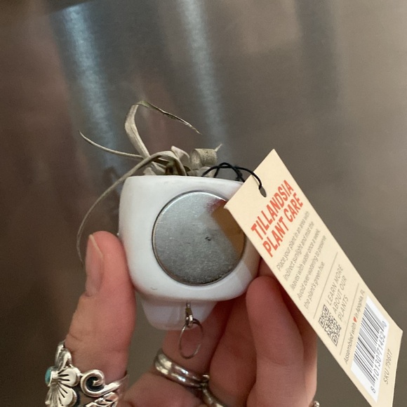 🌼 NWT Trader Joe’s air plant planter lazy bones planter - Picture 8 of 9